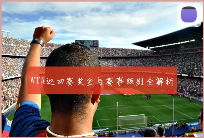 WTA巡回赛奖金与赛事级别全解析