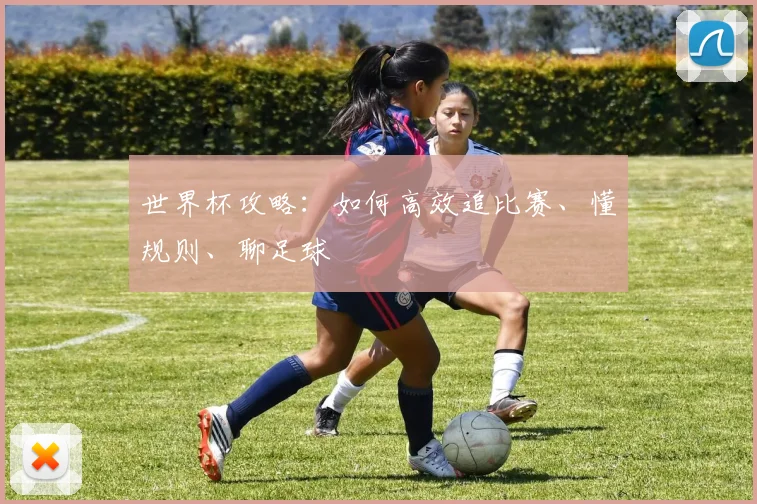 世界杯攻略：如何高效追比赛、懂规则、聊足球