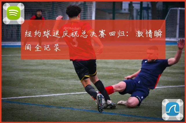 纽约球迷庆祝总决赛回归：激情瞬间全记录